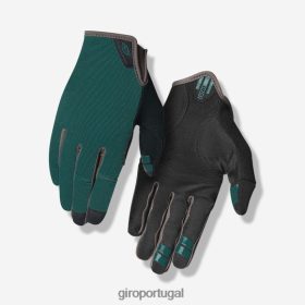 Giro Portugal - Giro luva dnd homens 6HPV88814 abeto verdadeiro